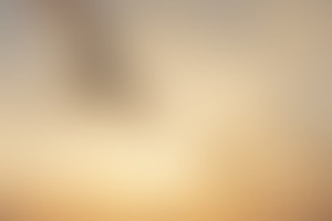 Фотография городского квеста Птицы эпох. Сергиев Посад от компании Таверна "Посадскими тропами" (Фото 1)